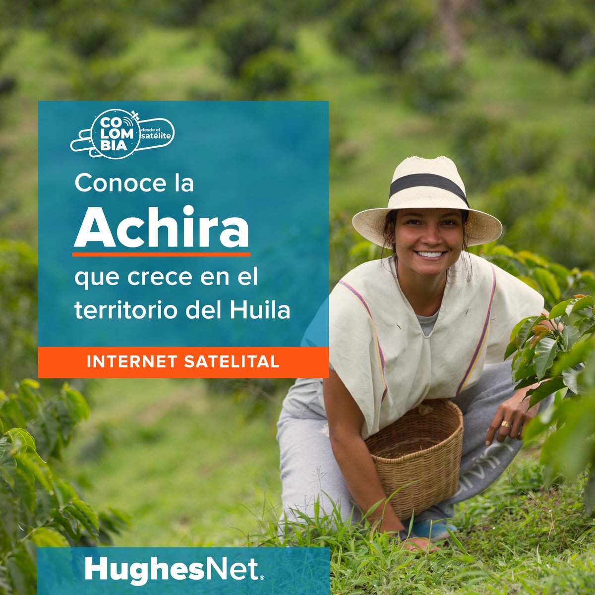 HughesNet_Co's tweet image. Conectamos a los agricultores huilenses que hacen posible que este producto sea un manjar único de su departamento. 

Consulta nuestra cobertura y los planes negocios que tenemos para ti  bit.ly/3z5bTcN