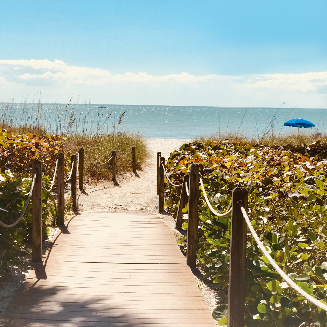 priceline tweet media