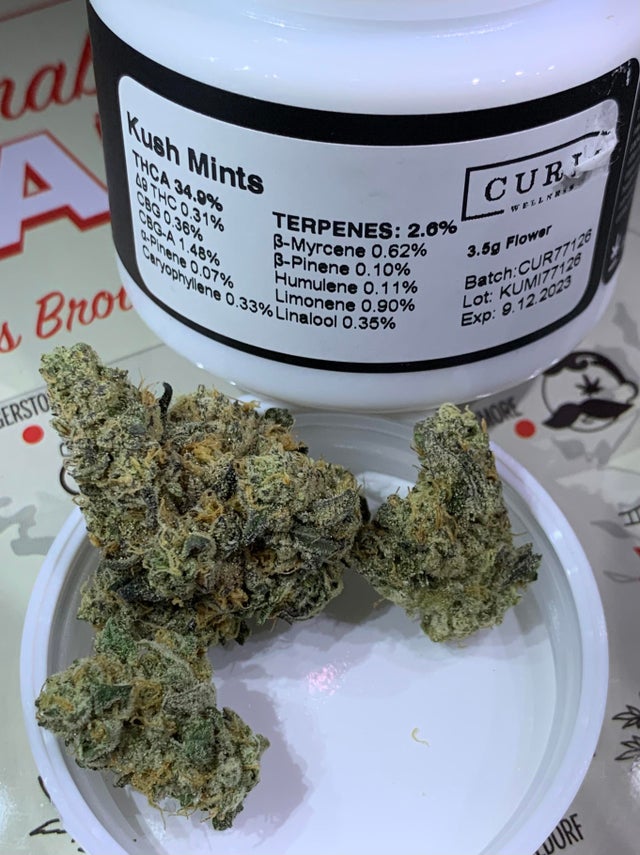 CindJones420's tweet photo. #strains #sweetstrains #indica #sativa #cannabiscommunity https://t.co/YaJSM4UhRY