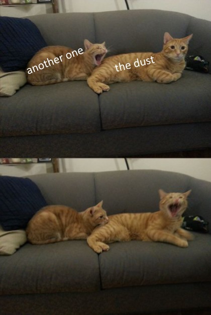 WholesomeMemes (@wholesomememe) on Twitter photo 