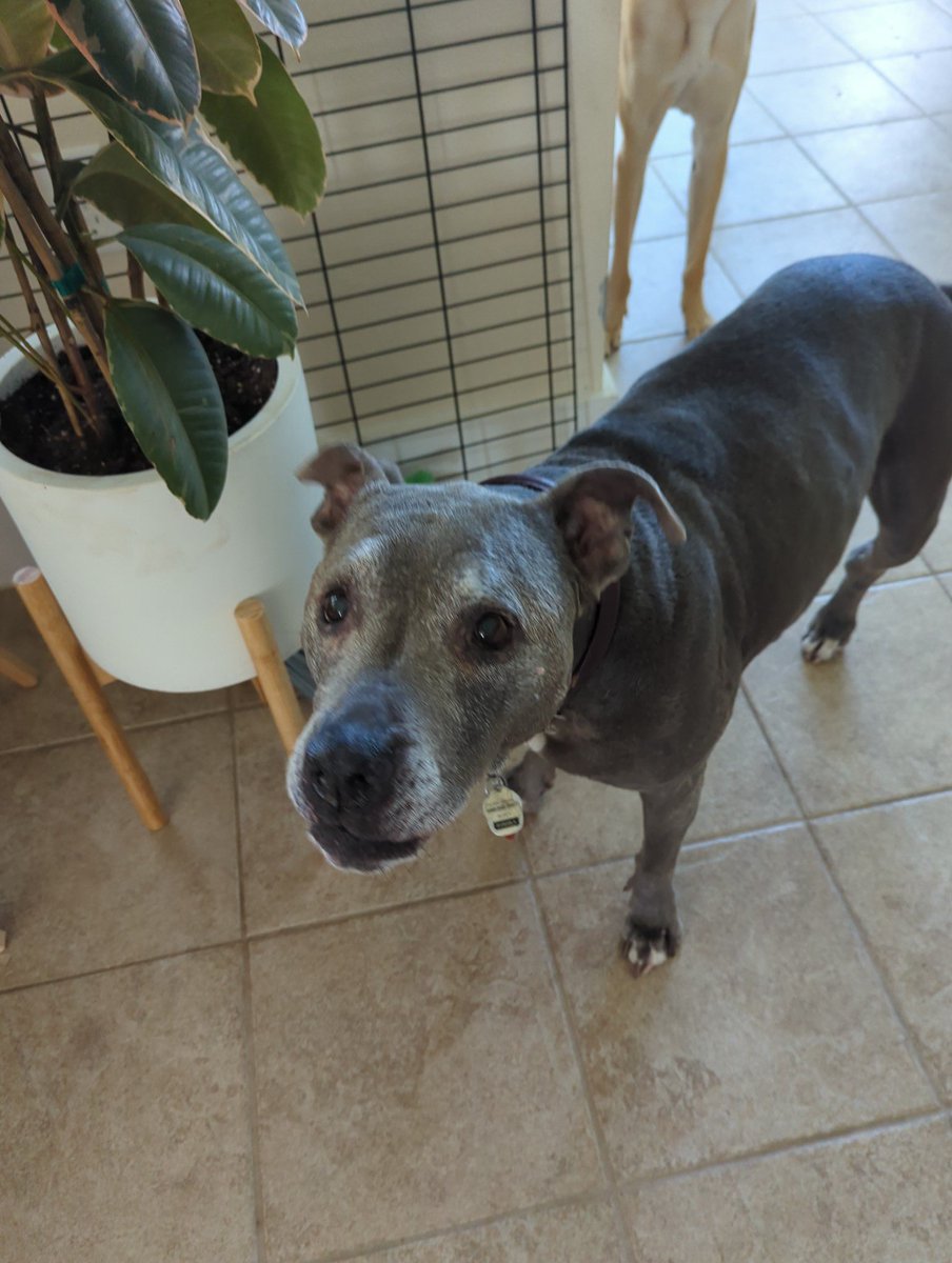 Katia Krupa tweet media