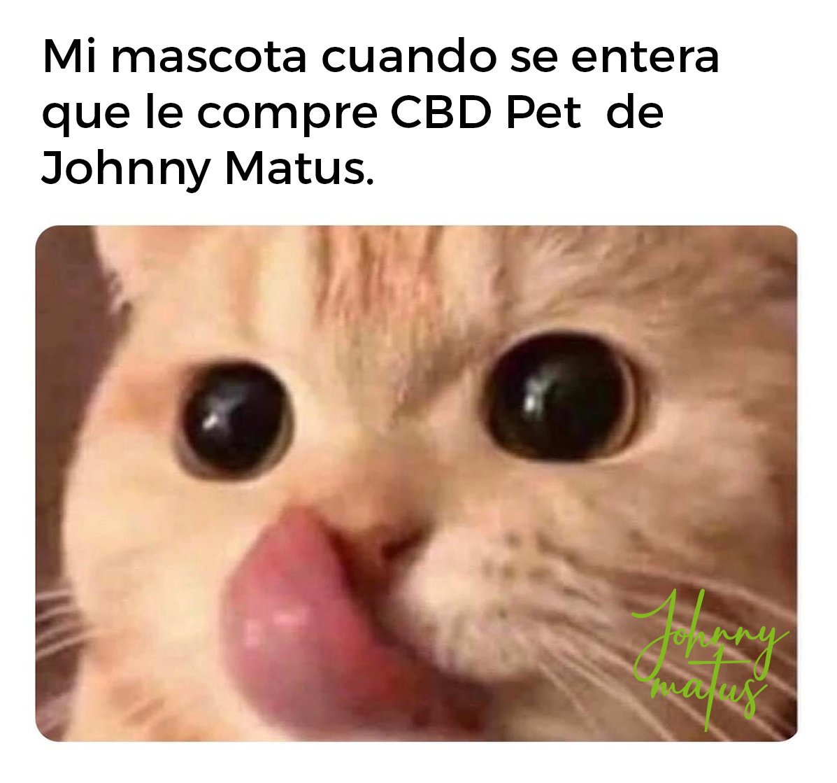 JohnnyMatus_cbd's tweet photo. Porque ellos merecen lo mejor, prueba CBD Pet y ayúdalos con problemas como dolor, inflamación, convulsiones, lesiones mal sanadas, ansiedad, entre otras enfermedades.
Compra directo en nuestra tienda en línea:
https://t.co/Y52LSELFBz
#CBD #Cbdproductos #cbdpet #JohnnyMatus https://t.co/GitqmufwUq