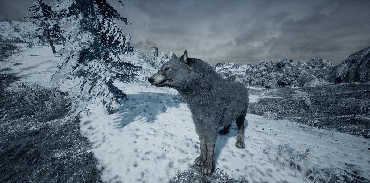 Equilibrium Games tweet media