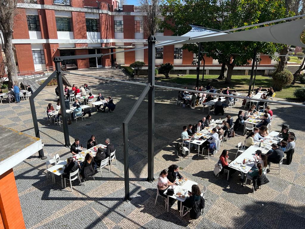 Building Bridges in Biology tweet media