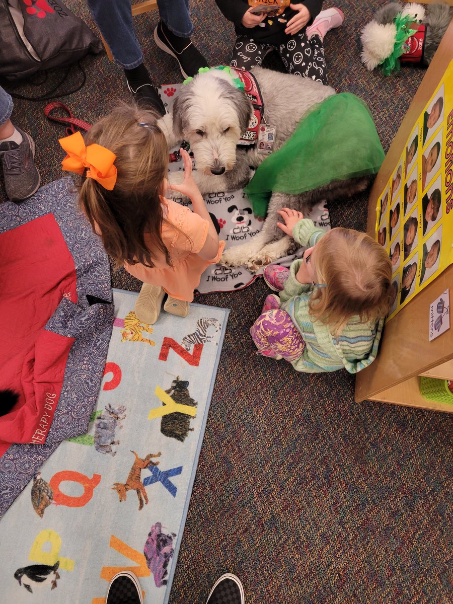 Sandy Fox tweet media