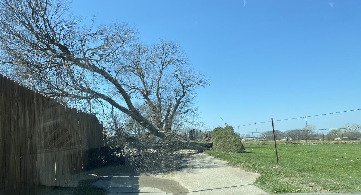 mavsfans20021's tweet photo. Tree on our street completely uprooted from the storm last night!
@wfaaweather @JesseWFAA @wfaa @weatherchannel
#Dallasstorm #Weather https://t.co/fRmZHh3uVw