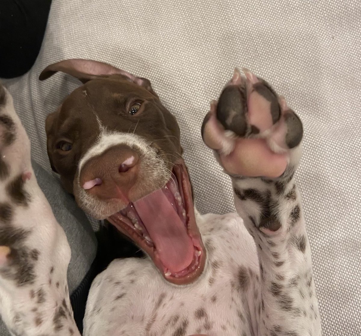 KayeSteinsapir's tweet photo. Friday mood 😀 #TEAMMOLLY https://t.co/mSfY8EfXmi