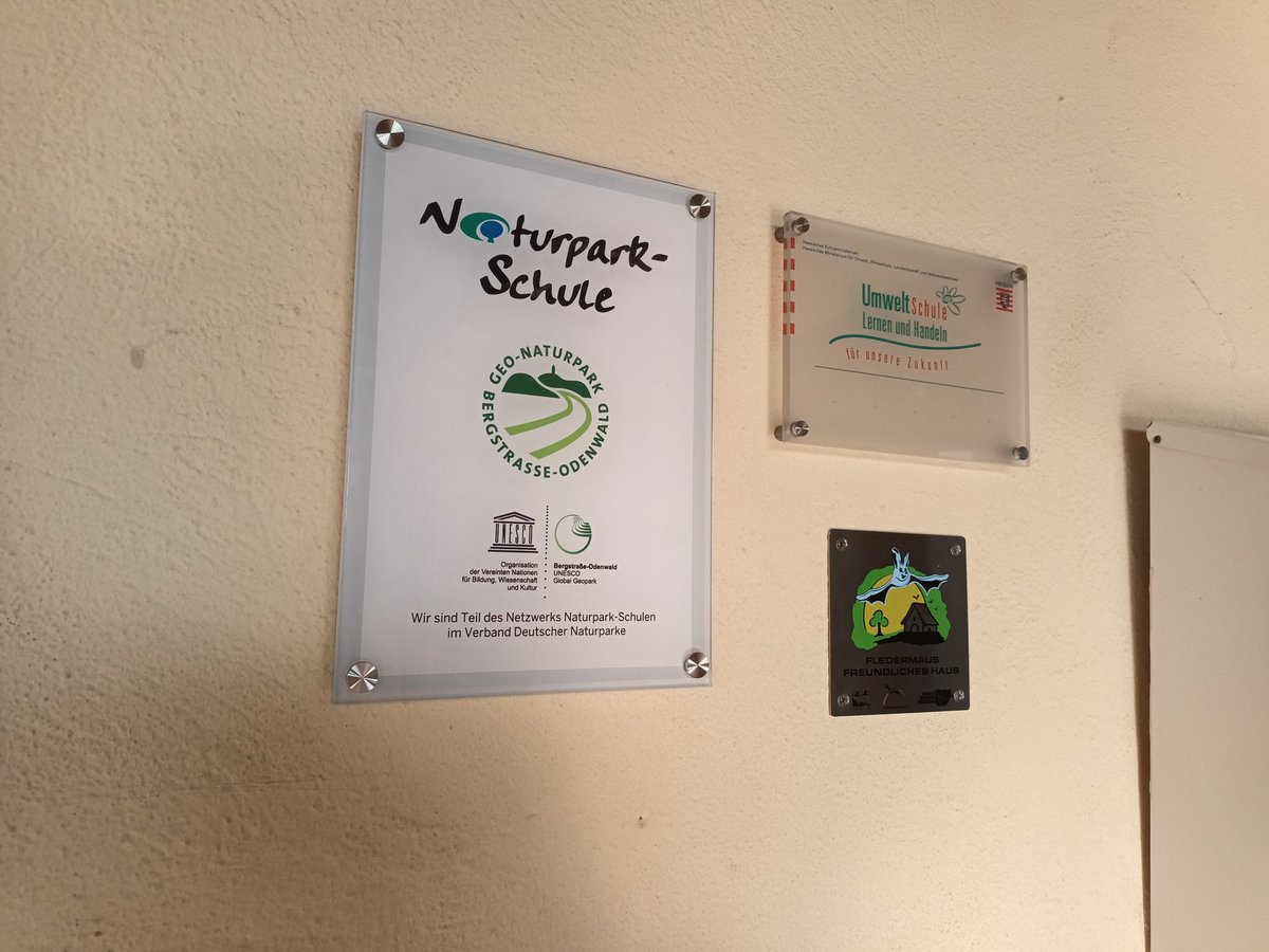 #draussenunterricht #odenwald #reichenberg-schule