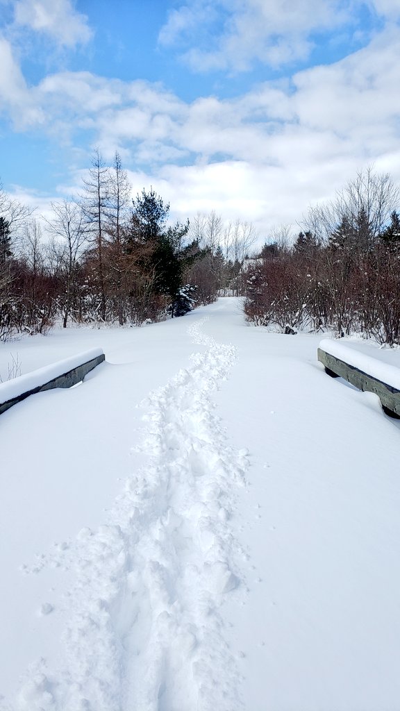 Yay for snow in the maritimes, reminds me of home. Beautiful winter days for walking.