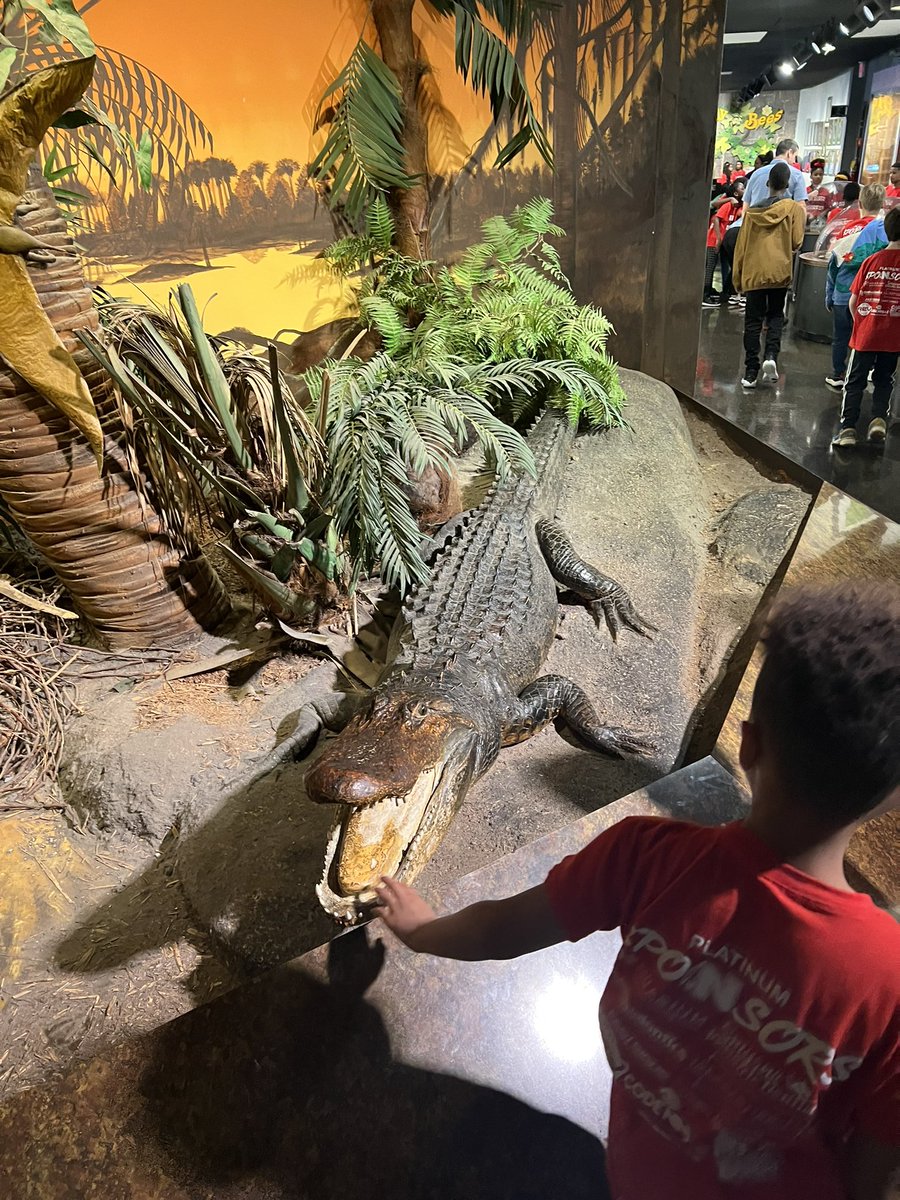 MsGraska's tweet photo. We had such a good time at the Fernbank Science Center today!! #ScienceIsCool @FernbankScience @NESThird https://t.co/RuAVUBQW9k