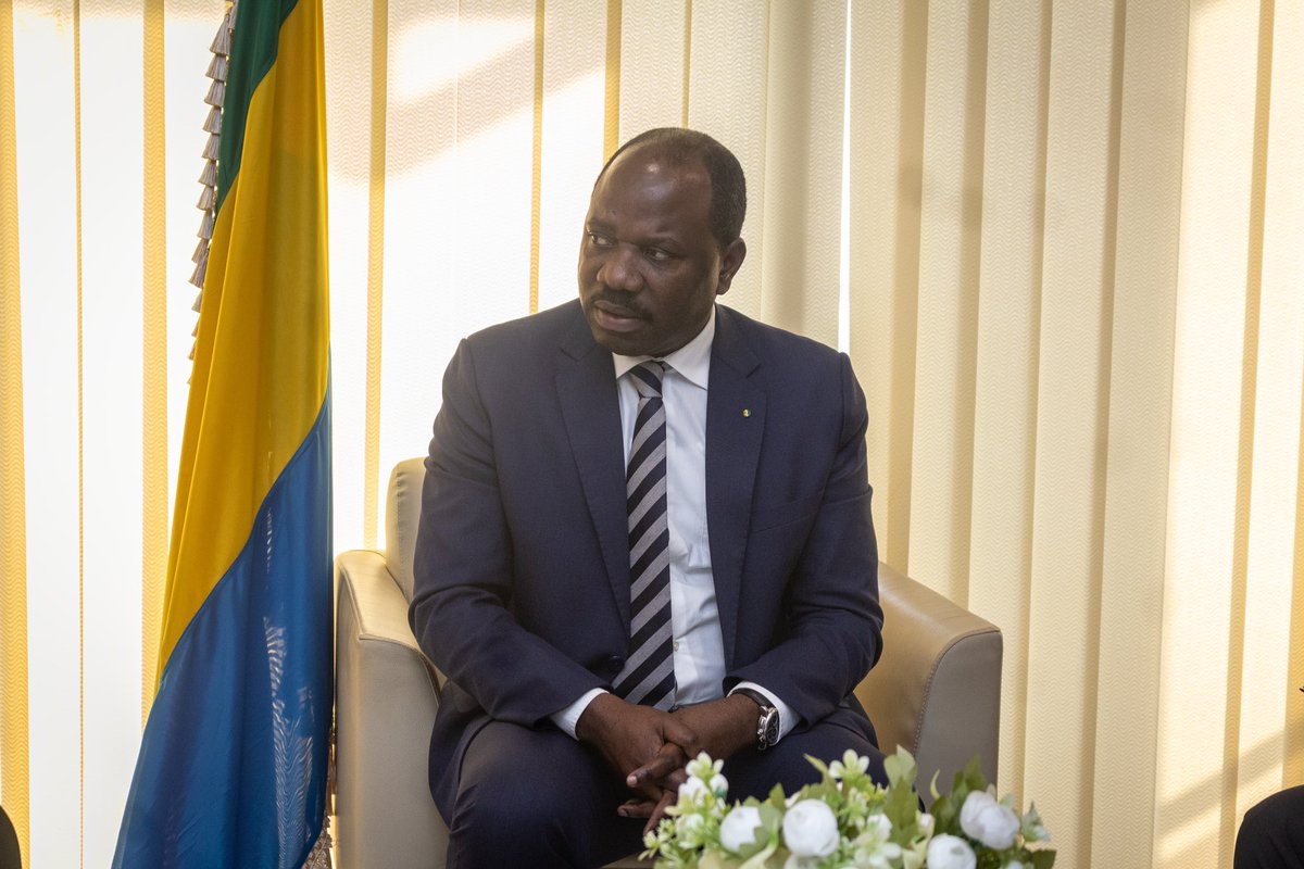 Promotion & Investissements Gabon tweet media