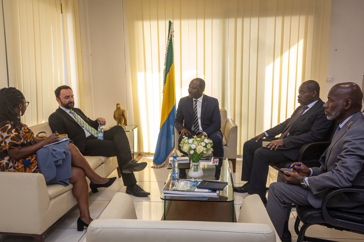 Promotion & Investissements Gabon tweet media