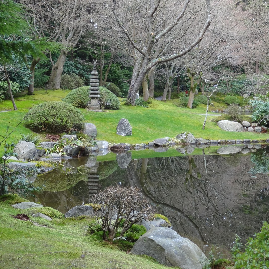 Nitobe Memorial Garden is now open after a short closure due to weather conditions. Visit Nitobe to relax and experience harmony in nature. 

Open Wednesday - Sunday from 10 am - 2 pm. Admission is currently by donation. 

📸: Hayley Yip, Volunteer

#nitobegarden #japanesegarden