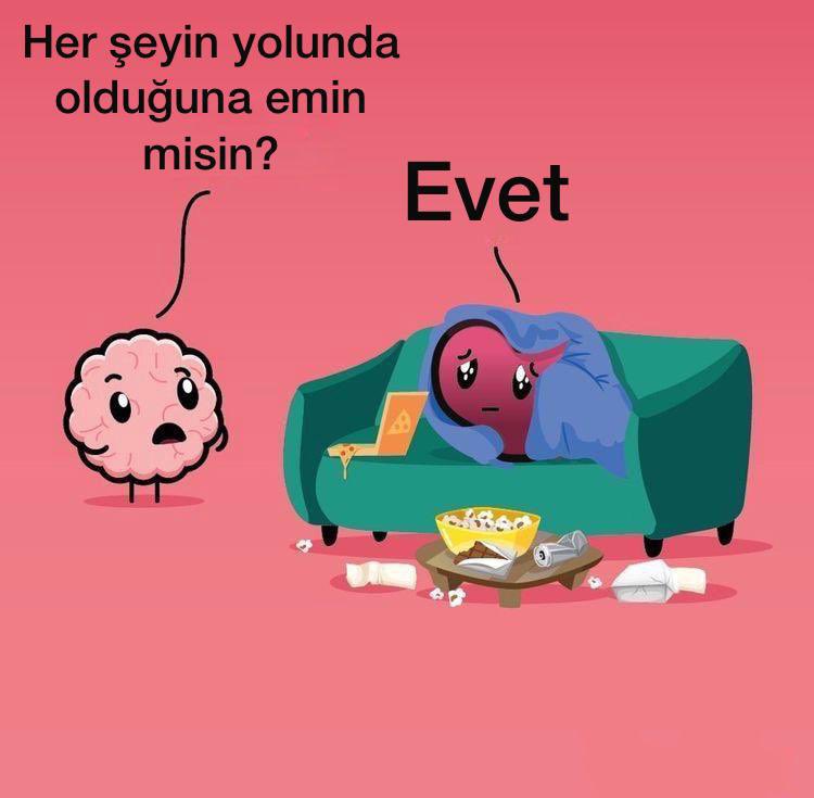 akıl ve kalp arasında (@hearttbrain) on Twitter photo 