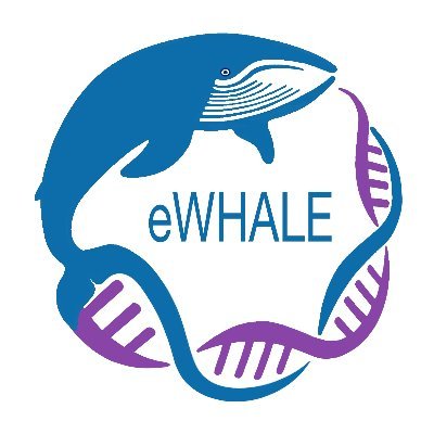 Fully funded PhD and MSc on cetacean ecology using eDNA on the eWHALE project with @rogan_e : ewhale.eu. Post details here👇 ucc.ie/en/hr/vacancie… ucc.ie/en/hr/vacancie…