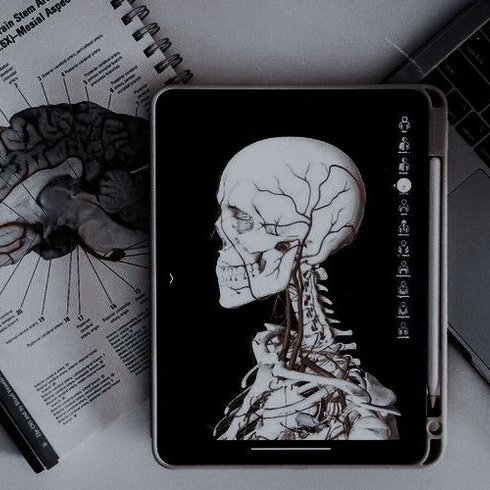 nuna__med's tweet photo. ⌕ #studytwtbr #studytwt #study #student #studymed

° Manuella/Manu/Maah
° Ela/dela
° 17y
° 3EM
° Foco: Med⚕ (USP, UFMG, UNICAMP ou UFSCar)
° técnica em nutri na etec

♡' bts, chase atlantic, Jão, doramas, livros, santos fc, marvel, Grey's Anatomy, Chicago Med, TLC, H&amp;H e gatos https://t.co/8k02PiADjz