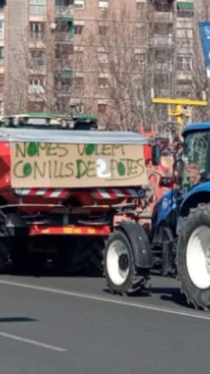 Jordi Virgili 🐏🚜 tweet media