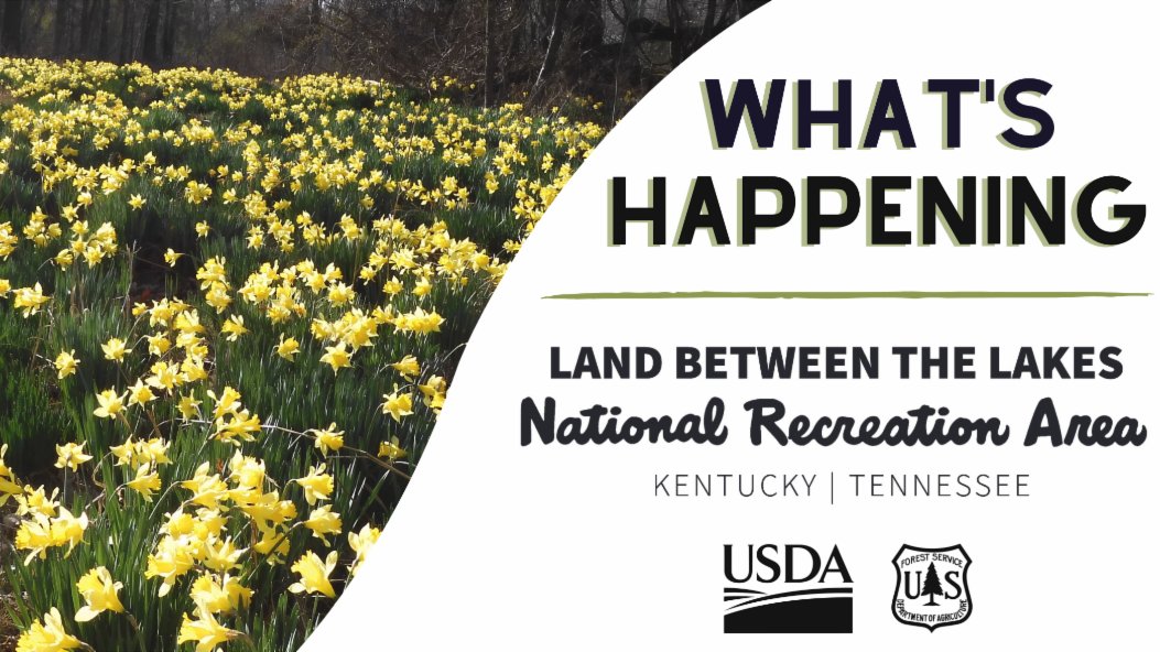 March means open campgrounds, cheerful daffodils, a new Planetarium show, and family-friendly events at the Homeplace and Nature Station! See what spring has in store at Land Between the Lakes in our latest newsletter. #mylbladventure conta.cc/3SOLzPp