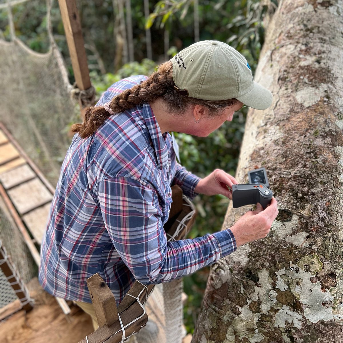 Kristie & Jessica of @thebugchicks are teaching a course in the Amazon Rainforest with @morphoinstitute & @exploramaperu. Their Celestron FlipView microscopes help the class get a close look at lichens, leaves &, of course, bugs!