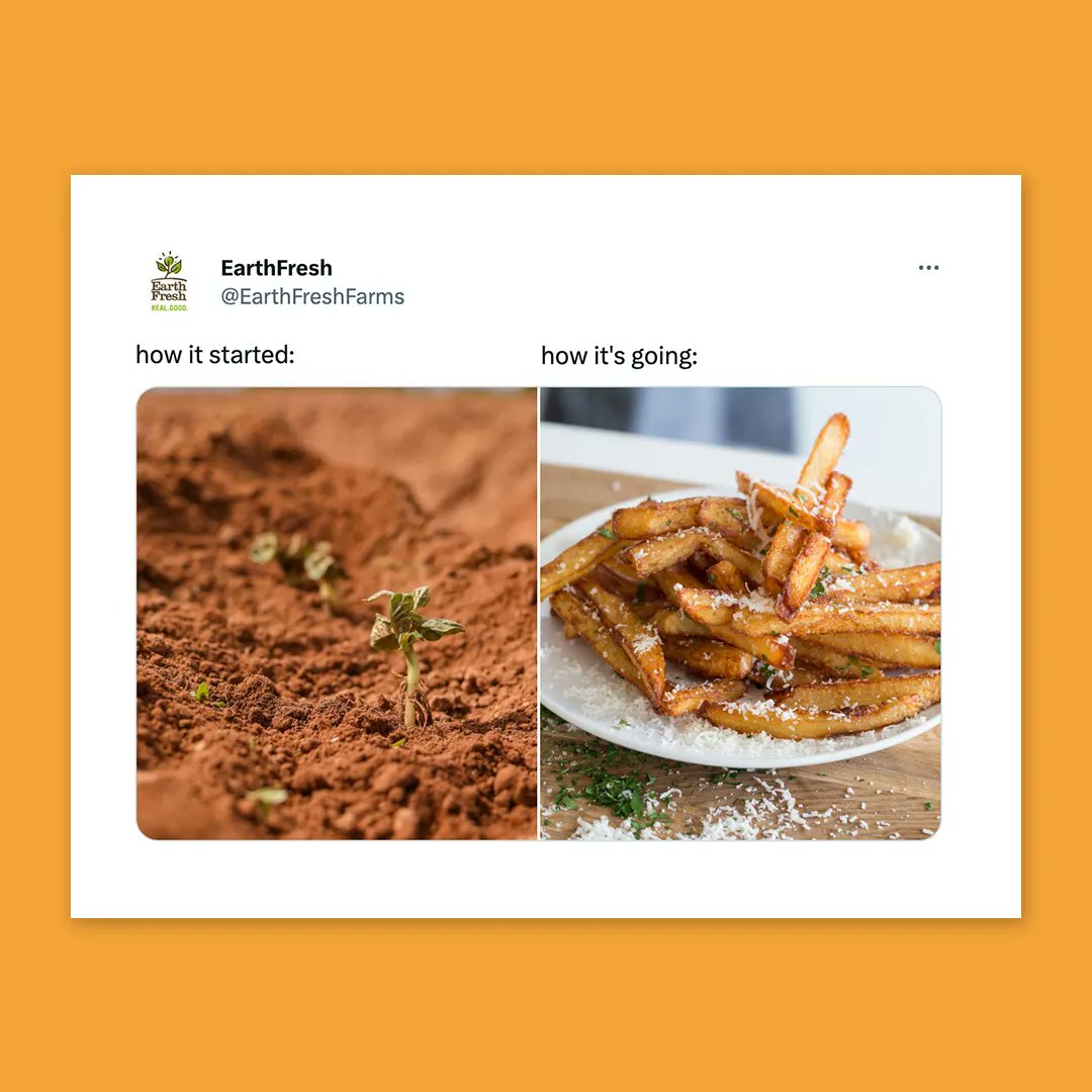 EarthFreshFarms's tweet image. How it started  vs. How it&apos;s going
#spudlife #EarthFresh