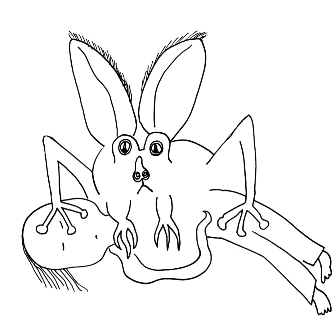 Sarah Herman tweet media