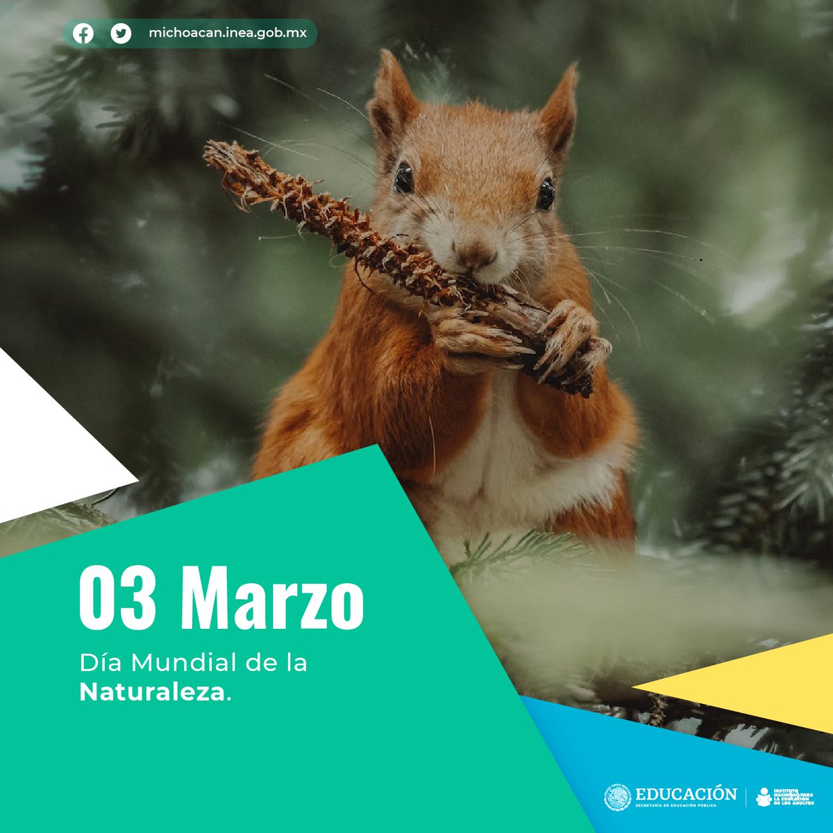 INEA_Mich's tweet photo. La ONU proclamó el Día Mundial de la Naturaleza, con el objetivo de concientizar, sobre el valor de la fauna y la flora salvajes. 🐿️🌳 https://t.co/K9UngbAhUq