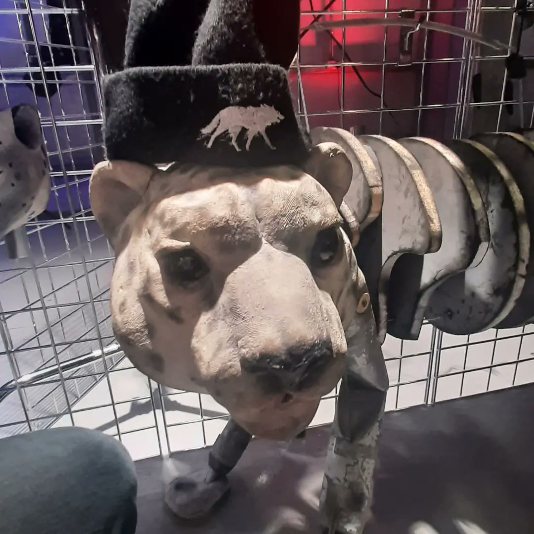 ScreenAllianceW's tweet photo. The Screen Alliance Wales and @BadWolf_TV beanies are proving popular with the #hisdarkmaterials puppets...

@darkmaterials 
@ColegyCymoedd https://t.co/iW0c7T1BXi