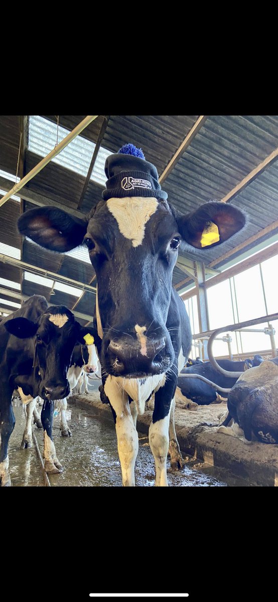 AgrikingLtd's tweet image. Alternatively call ☎️ 
UK - 01243558884
Ireland - 016575628

Silo-King®️ = More 🥛&amp;amp;🥩 from 🌱🌾🌽

*Special offers are available until 31st March 2023
Terms and conditions apply.

#KeyToProfit #Silage2023