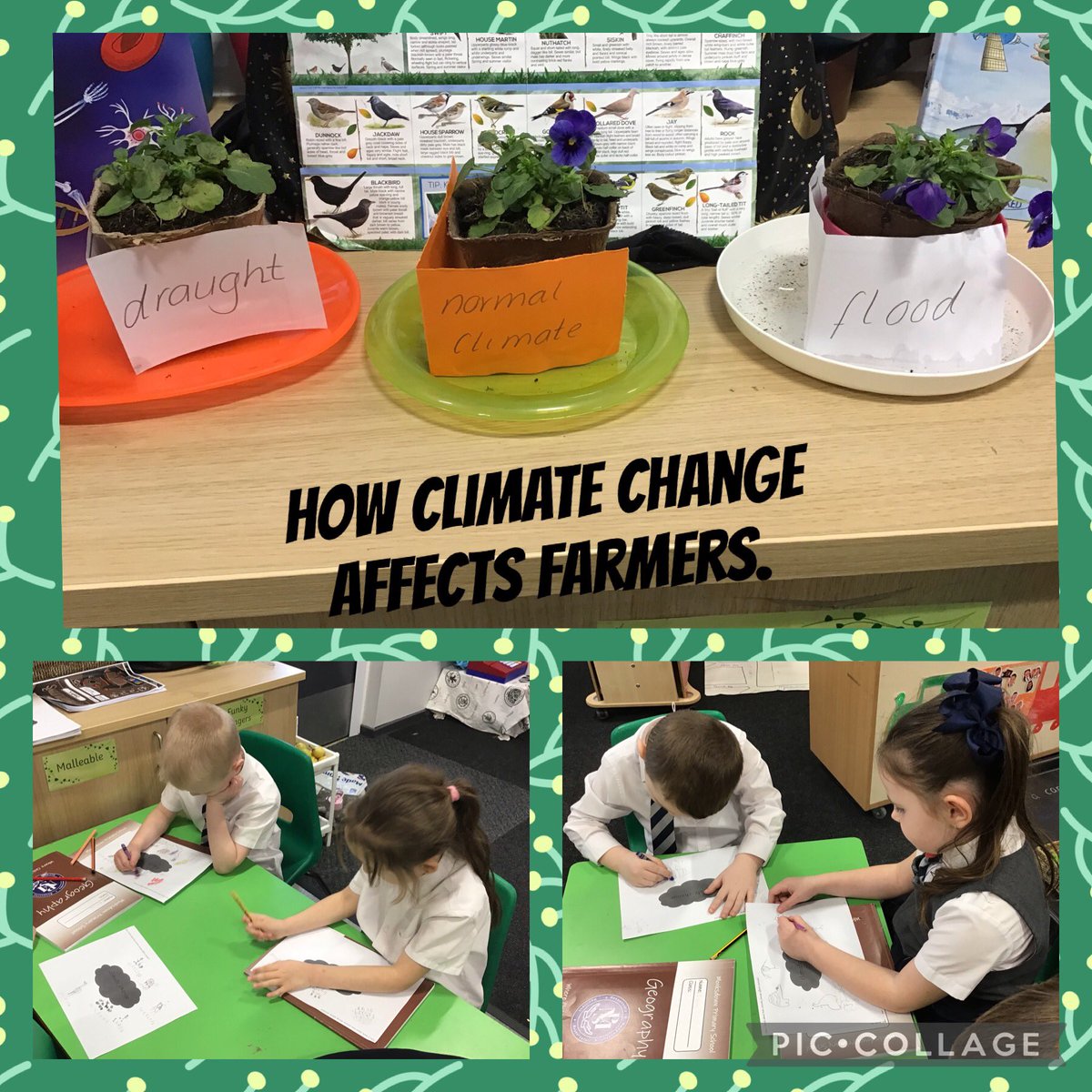 We have been talking about how climate change affects people and animals. In particular, we have been looking at Malawi nut farmers. We decided to investigate what happens if the climate changes drastically. What do you think will happen? @MonksdownSTEM @MonksdownEco #class13