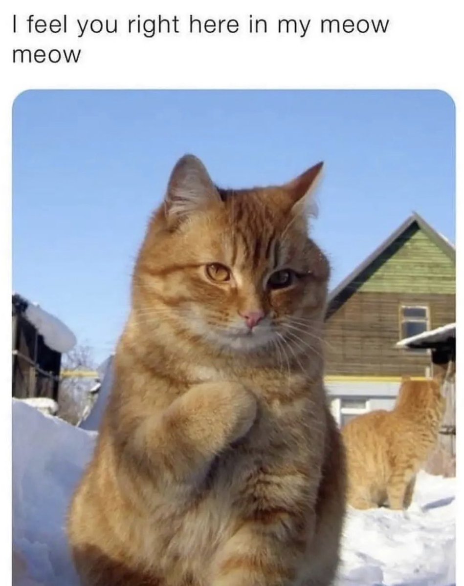 ASharpclaw's tweet photo. @INArteCarloDoss Just when I thought you couldn’t be any more awesome, you do this! 😻 https://t.co/ONxsapMput