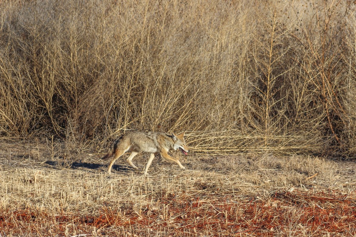 Jennifer Gonzales tweet media