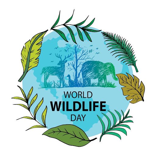 All_Animals_org's tweet photo. Happy #WorldWildlifeDay Please do what you can to help save wildlife, wild places, and endangered species! #BeKindToAllKinds #HealthyEcosystems #GoVegan #EndSpeciesism #BanWildlifeKillingContests #BanWetMarkets #EndWildlifeTrafficking #EndAnimalExploitation #EndPoaching https://t.co/rqyQV9MrOK