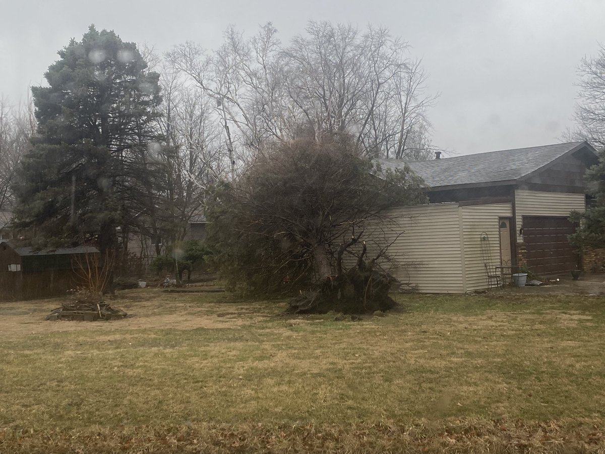 jcfultz's tweet image. The strong winds have caused some damage across the area today. The tree and shed photo are in Bethany and the power pole is at the corner of IL-105 and Esther road just east of Decatur. Snow/sleet causing slushy roads. @NWSLincolnIL