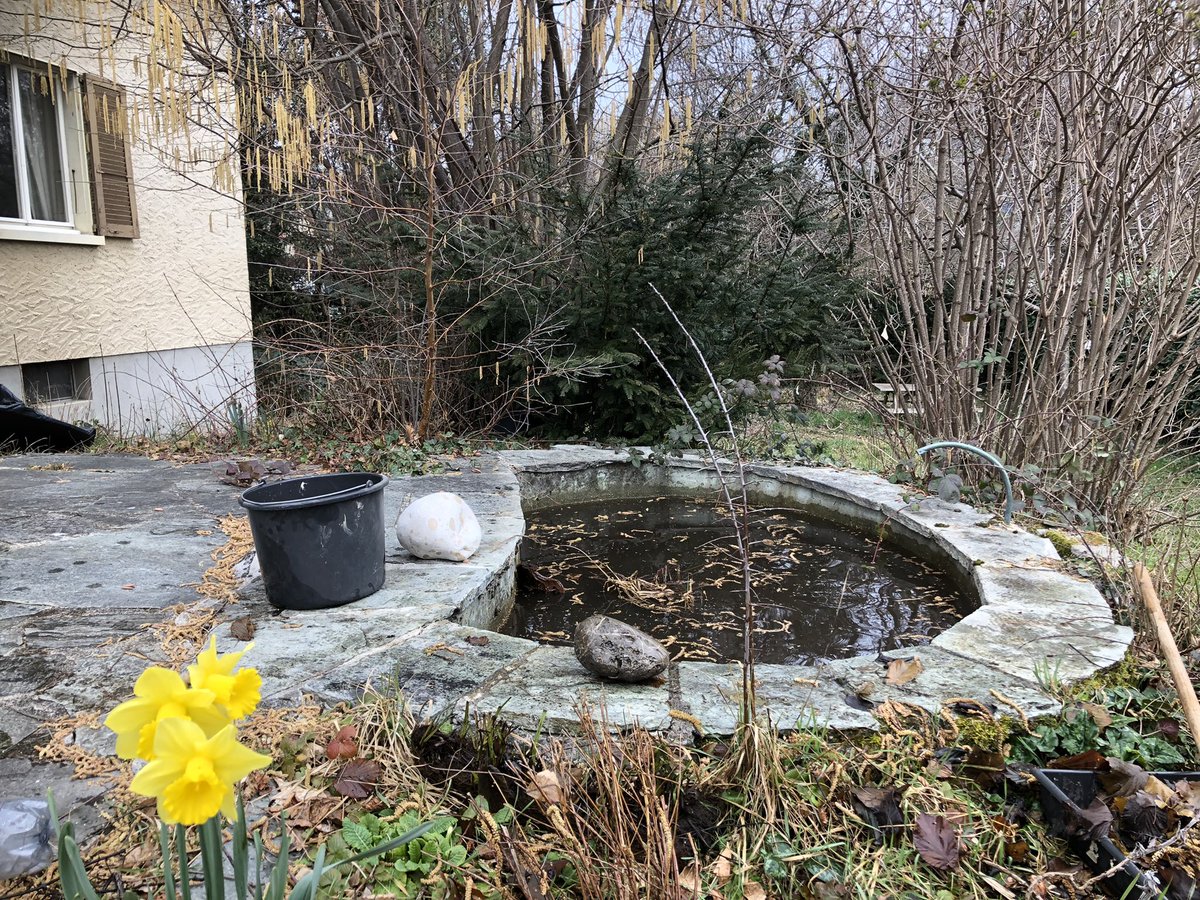 christine mackey tweet media