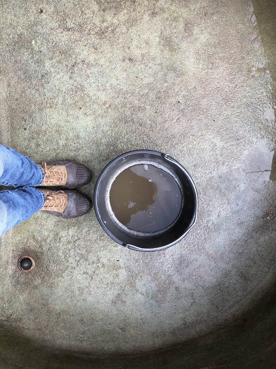 christine mackey tweet media