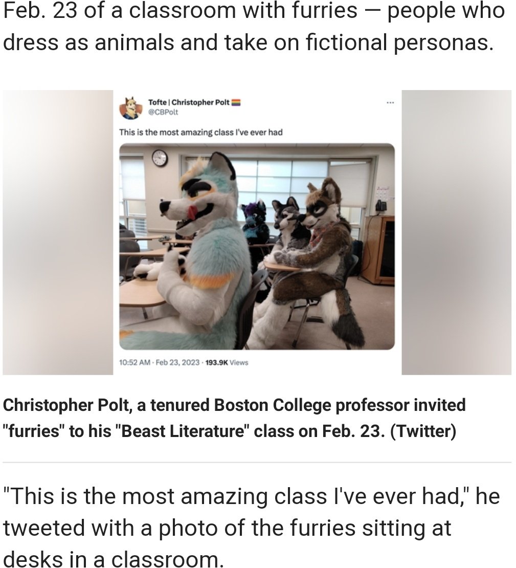 CAPS LOCK CANINE 🔜 FWA 🌹⛓️🌈 tweet media