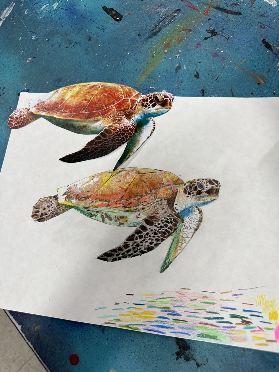 MsAngelillo_Art's tweet photo. Some recent happenings in the BJH Art Room! Endangered Animal project 🐢by Alisa L. (8th), VR exploration with Ullas R. (6th), Cake Decorating Career Project (Drew C. &amp; Arya G., 8th) &amp; Candy Paintings! (Sophia E., 6th) #D53Cares #D53Learns https://t.co/sxfr3yDkW1