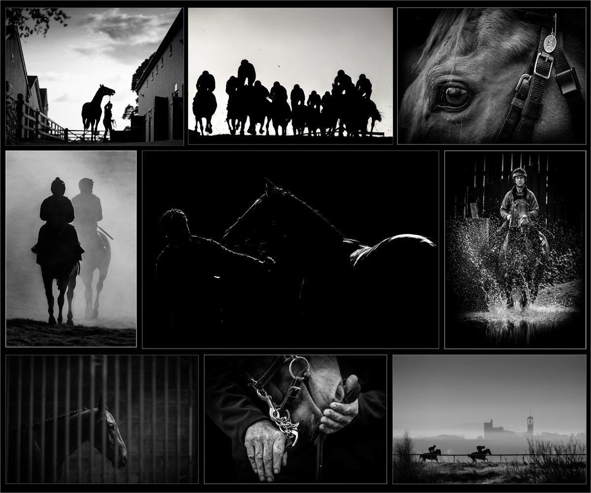 PressPhoto_IRL's tweet photo. 2nd Reportage – YEAR OF THE HORSE – Morgan Treacy, Inpho Photography @MorganTreacy @InphoSports #PPAIAWARDS #CapturingHistory @AIBIreland #backedbyAIB https://t.co/xQNHEnakPk