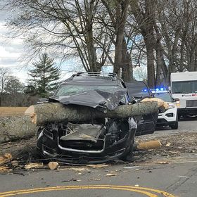 FOXNashville's tweet photo. WOW. A tree is lodged under the hood of someone's vehicle in front of Christ Presbyterian Academy on Old Hickory Blvd. 

Photos: Seth Hersey
https://t.co/8oOjpBWhNY https://t.co/OWirOacwam