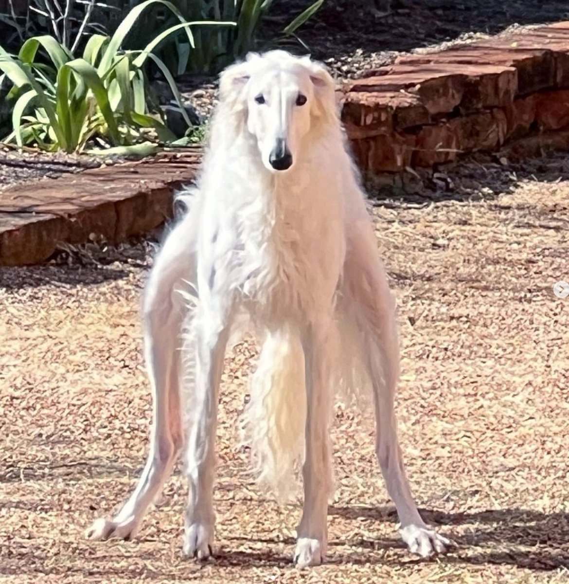 Bedtimes tweet media