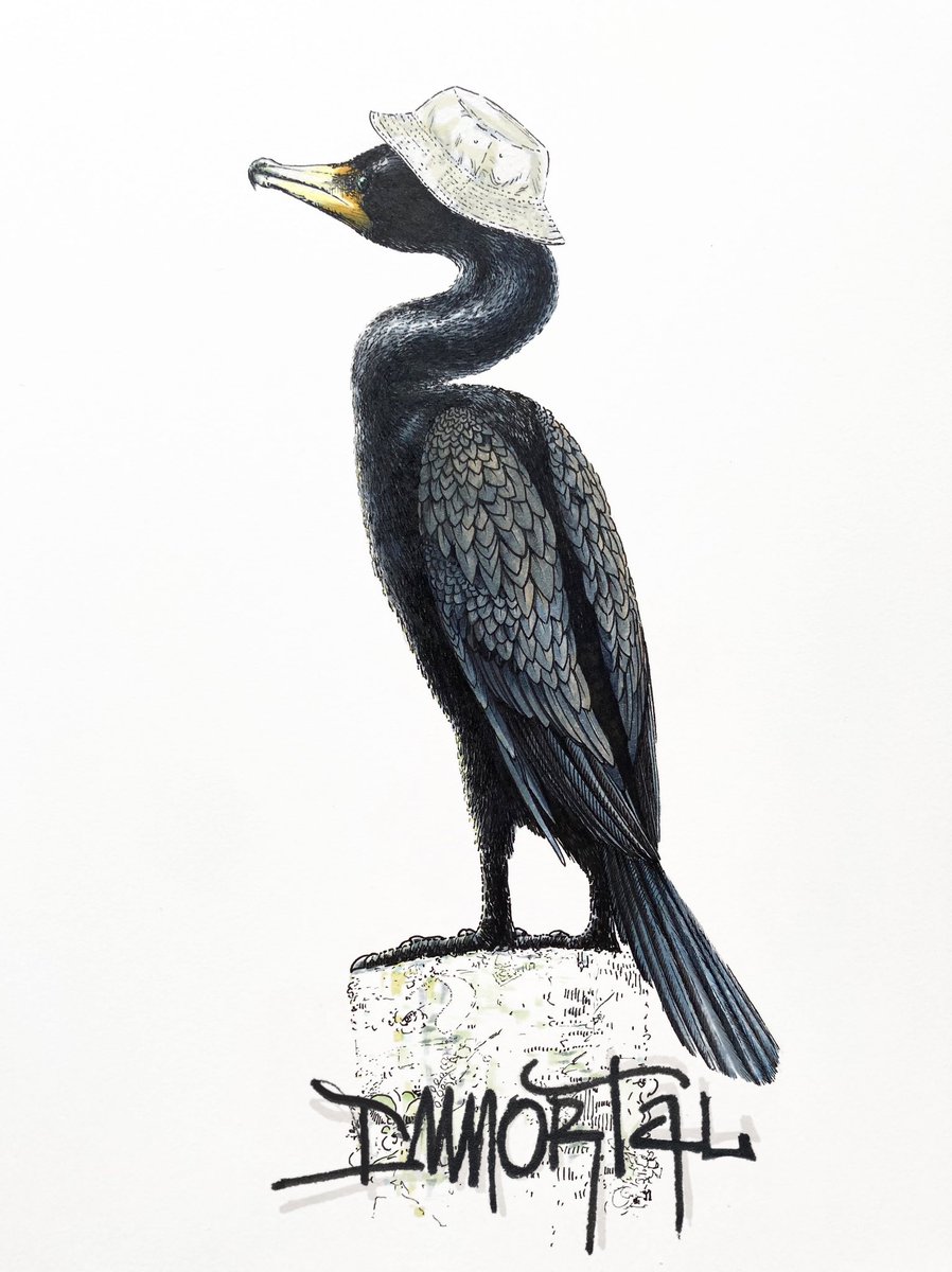 Spencer Reinhard tweet media