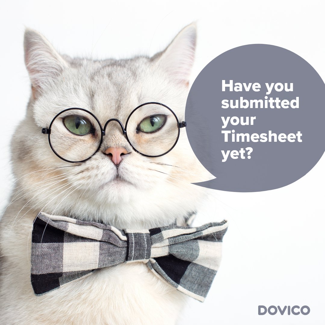 Dovico Timesheet on Twitter "It's Friyay! And you know what that