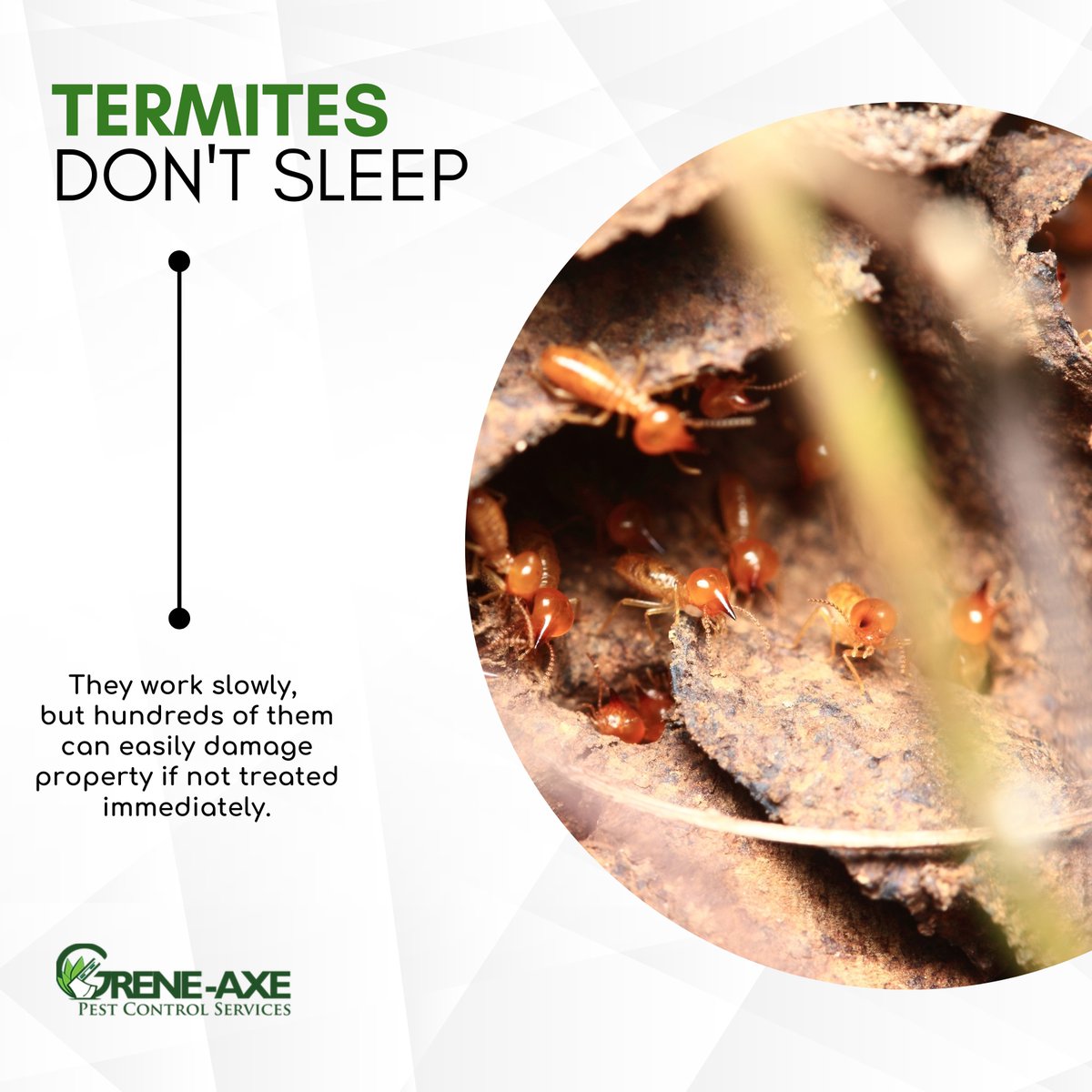 We offer FREE Termite inspections and guarantee our Termite services for the LIFE OF YOUR HOME!!!
Give us a call today at 876-519-2727
---
🌐 greneaxe.com
.
#termite #termiteinspection #termitecontrol #termitecontrolservices #termitebait