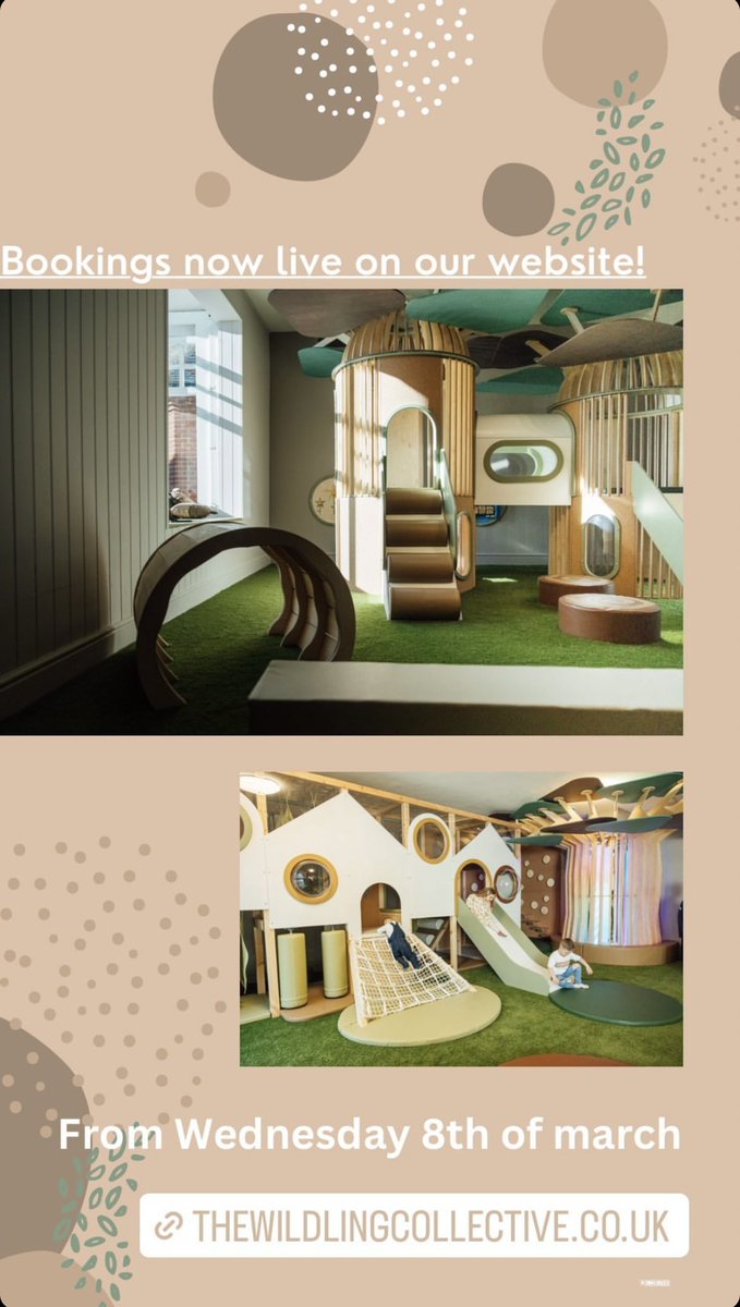 Ashley Beck tweet media