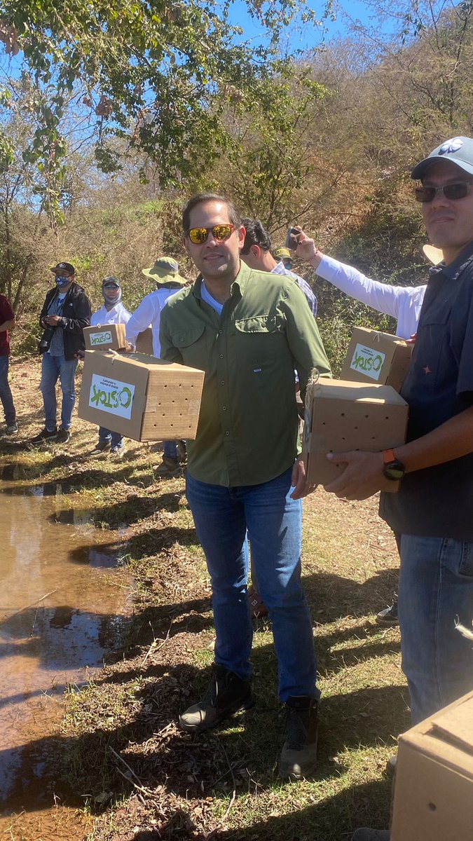 RaulBCCue's tweet photo. La liberación de ejemplares de fauna silvestre a su hábitat natural, como en el Ostok Sanctuary, Sinaloa, es una experiencia que nos reconcilia con el planeta. Como Presidente de la @comarnacc del @senadomexicano, la protección de especies es prioritaria en la agenda legislativa. https://t.co/PQP7YEdl0J