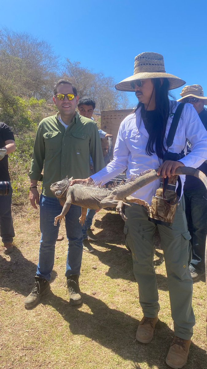 RaulBCCue's tweet photo. La liberación de ejemplares de fauna silvestre a su hábitat natural, como en el Ostok Sanctuary, Sinaloa, es una experiencia que nos reconcilia con el planeta. Como Presidente de la @comarnacc del @senadomexicano, la protección de especies es prioritaria en la agenda legislativa. https://t.co/PQP7YEdl0J