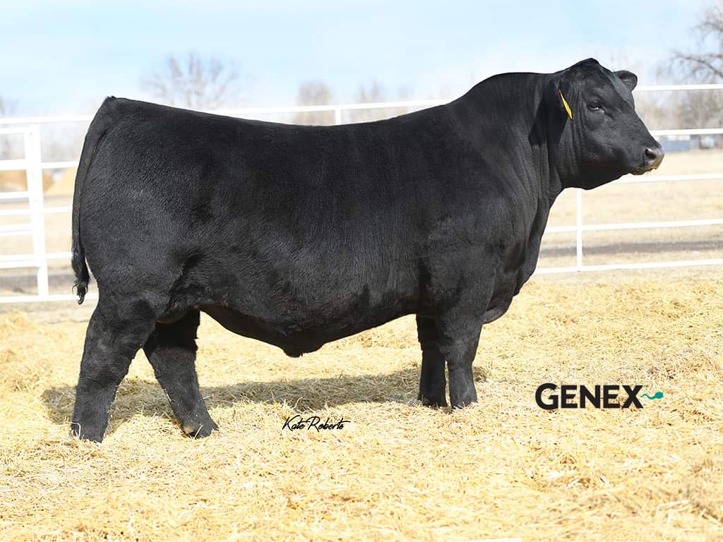 Genex Canada Beef tweet media