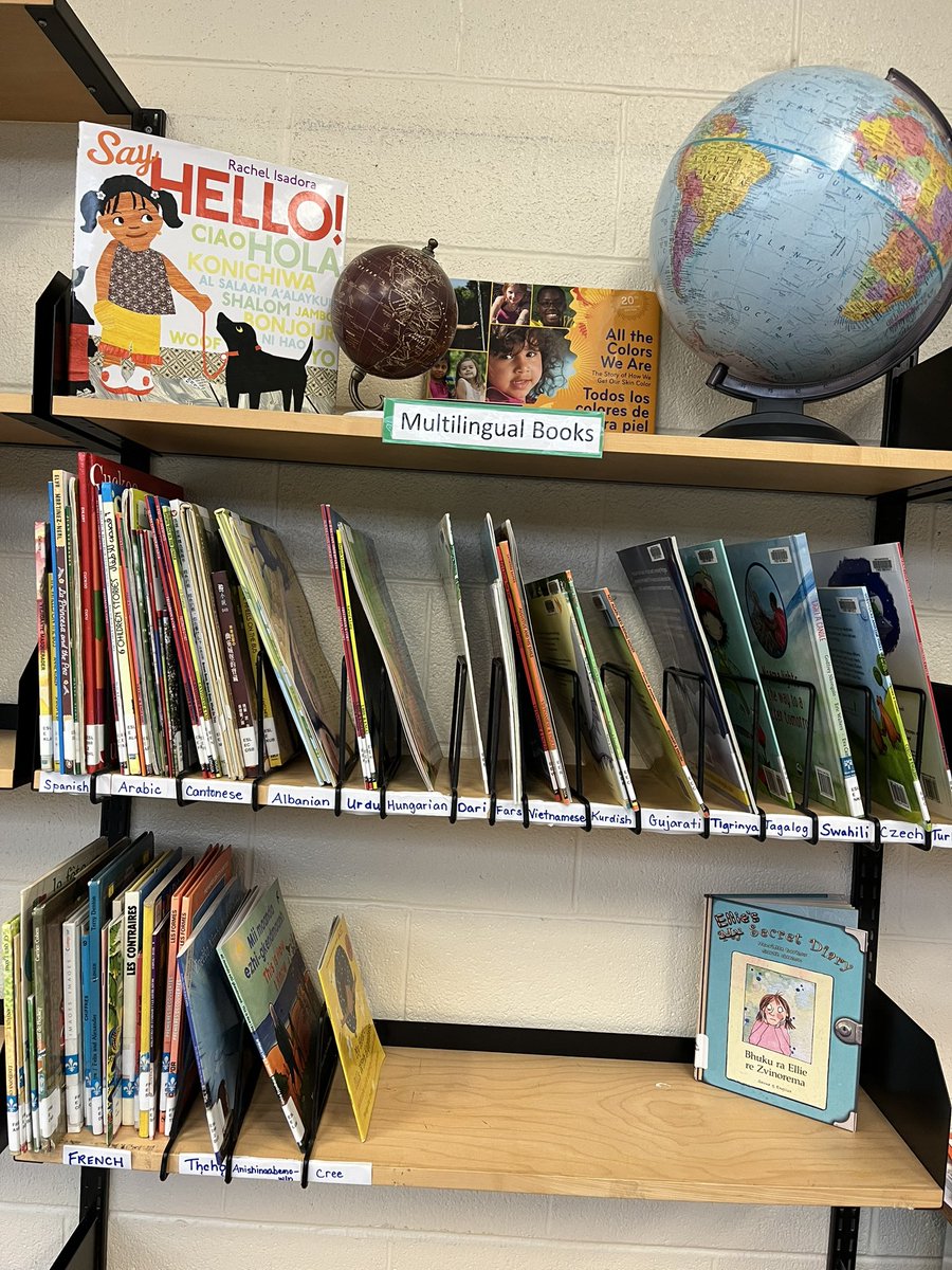 Working towards a School Library that supports the Multilingual Families @LAlexanderHWDSB  Zoom in to see all the languages that are spoken here. #schoollibraryjoy #multilingualbooks