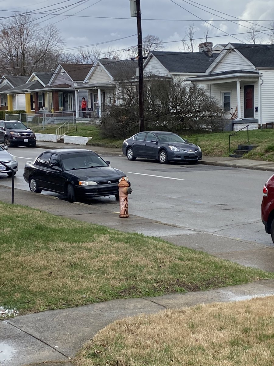 lesley_ailiff's tweet photo. @WDRBNews @JudeRedfield Wind gust are crazy!!! Brandeis Ave by @uofl https://t.co/TklaCF7KhU