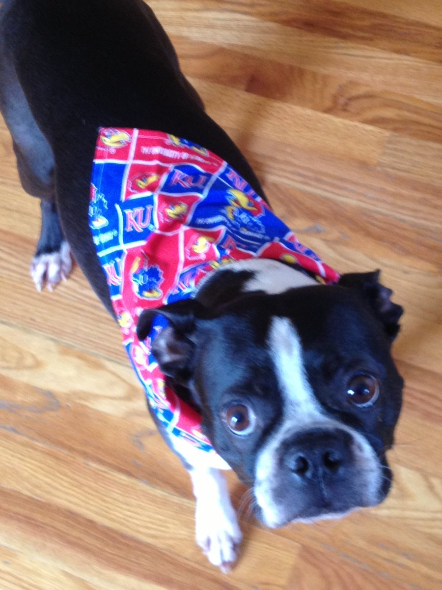 Stonelsmo4Stone's tweet photo. @BarstoolKU #RockChalk https://t.co/WDusuhMV7m